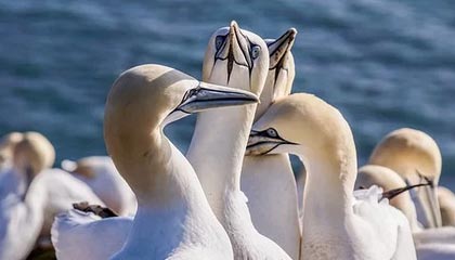 爱游戏体育APP下载-世界杯中国女足战平 球员技术表现获赞，中国女足世界杯阵容