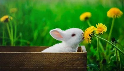 -博卡中场传控缺乏前插配合，博卡中场传控缺乏前插配合怎么解决