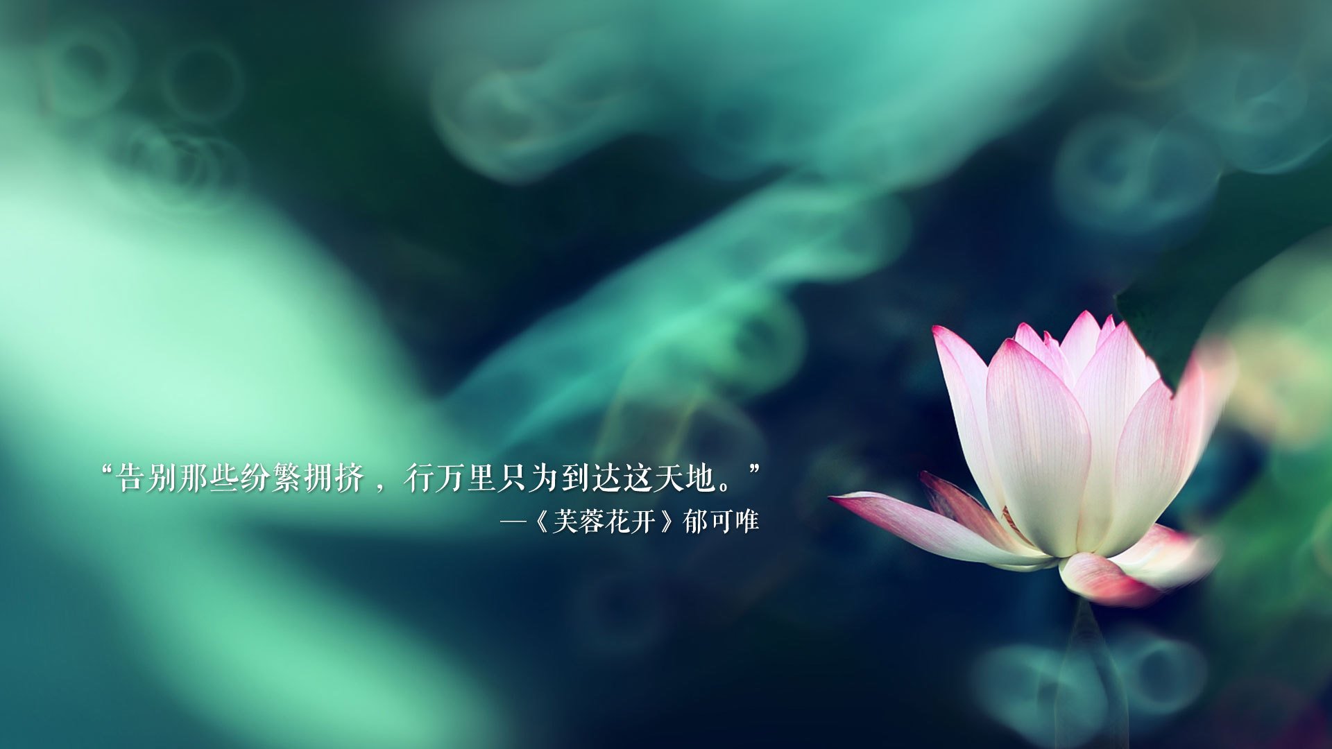 法甲巴黎圣日耳曼商业多元化模式分析，巴黎圣日耳曼的背后财团