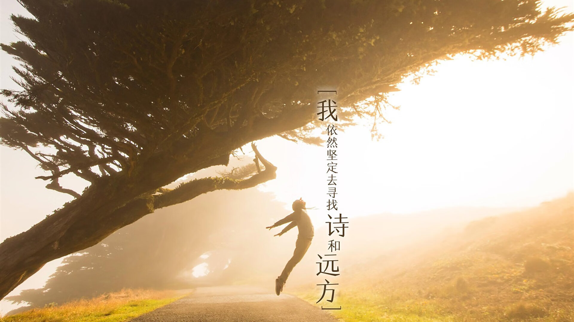 压哨三分成功率联盟榜单分析，压哨三分啥意思
