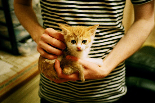 爱游戏下载-斯图加特后场稳固保护门将不受威胁，斯图加特0607