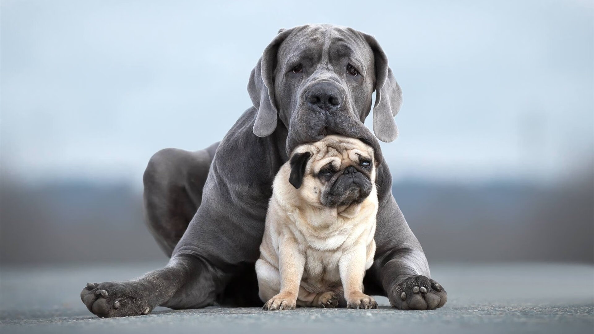 女子超级联赛品牌升级吸引更多主流赞助，2021女子足球超级联赛