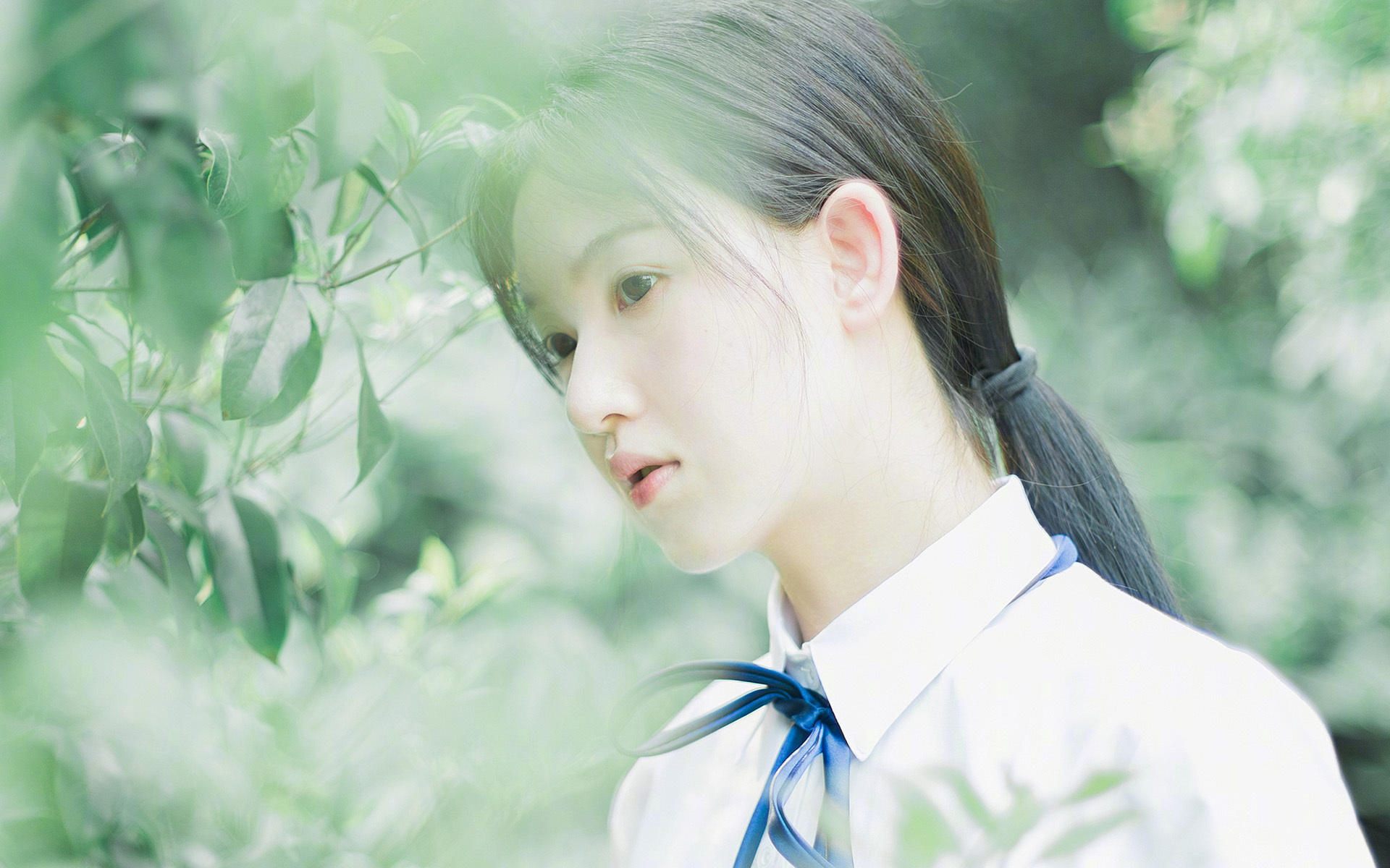 爱游戏app-澳大利亚青少年橄榄球赛事激发年轻球员潜力，澳大利亚国家橄榄球联赛