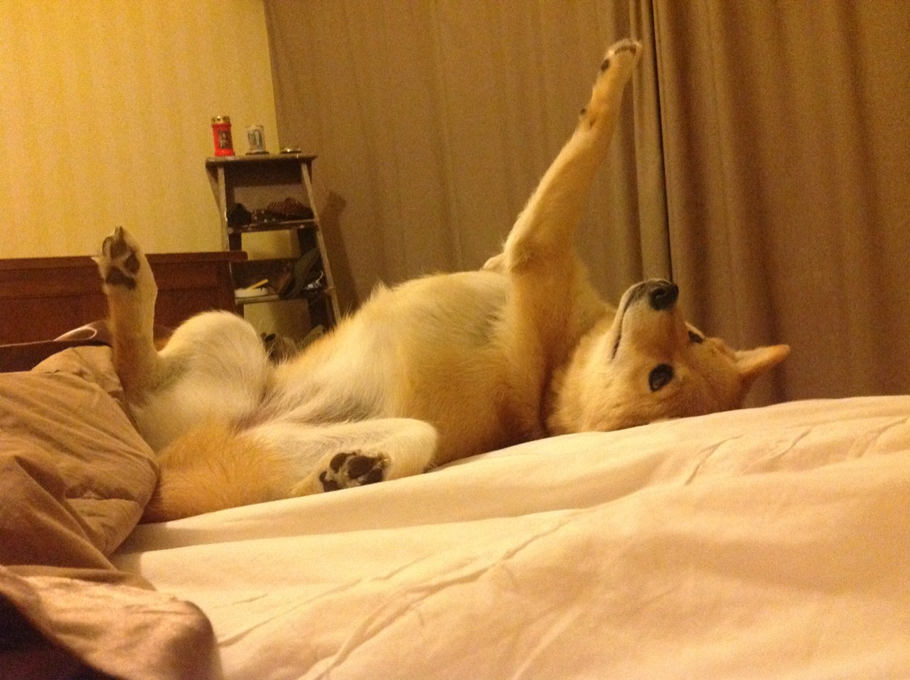 西甲绝佳盘带:巧妙过人引爆全场!,体育盘口西甲