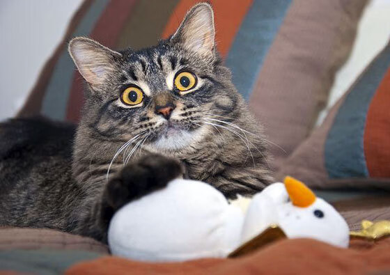 足球文化在青少年中的普及率不断提高，青少年足球的发展